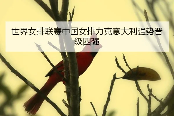 shi-jie-nv-pai-lian-sai-zhong-guo-nv-pai-li-ke-yi-da-li-qiang-shi-jin-ji-si-qiang-2-201.jpg