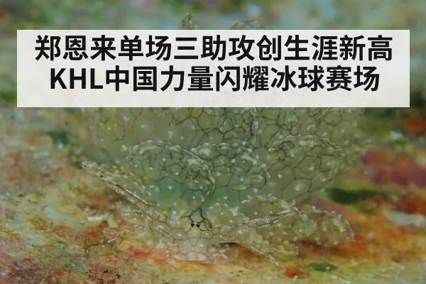 郑恩来单场三助攻创生涯新高KHL中国力量闪耀冰球赛场